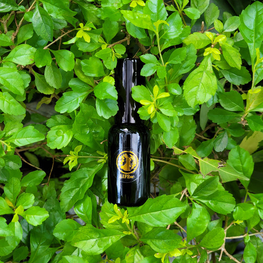 Insect Repellent Spray