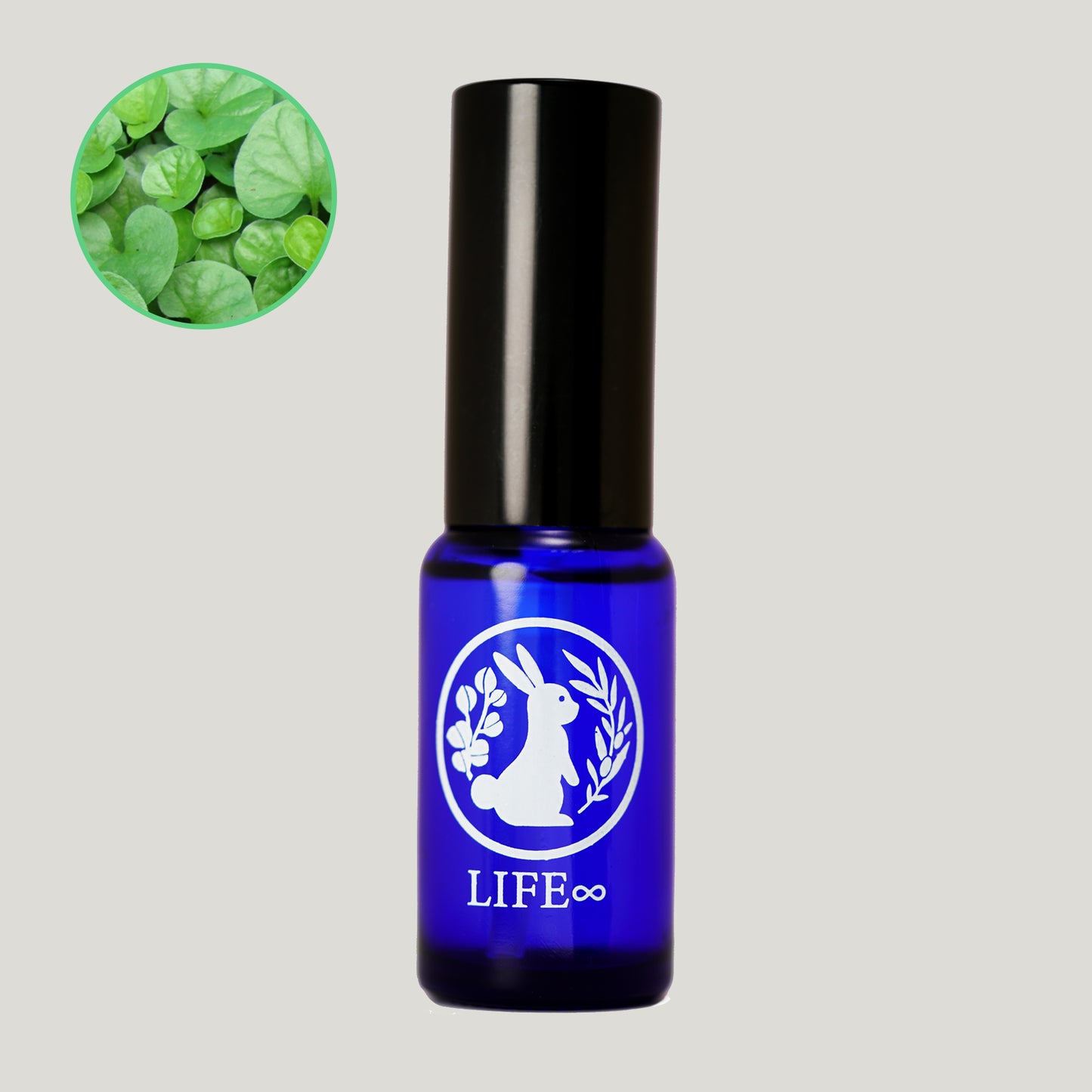 Wild Centella Asiatica Hydrosol [NEW]